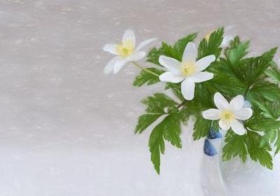 曼组词 曼字的词语有哪些(共145个)