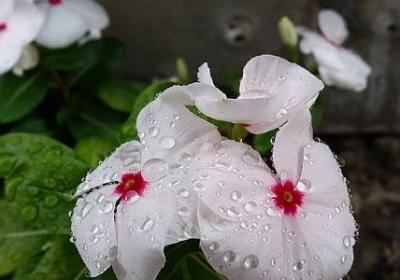 昧良心的句子(实用50句)