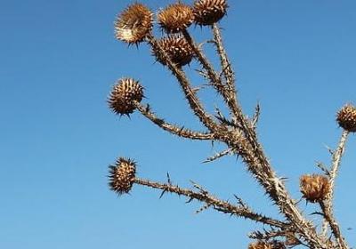 朋友悼词短句(优选50句)