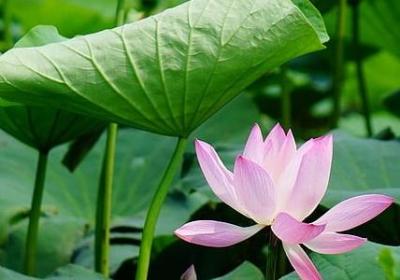 矩组词 矩字可以组的词语有哪些(共115个)