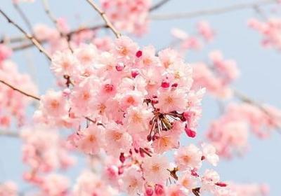 涝组词 涝字可以组的词语有哪些(必备37个)