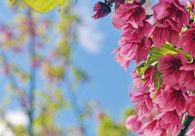 戾组词 关于戾字的词语有哪些(热门187个)