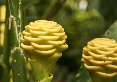 照顾好自己(通用151句)
