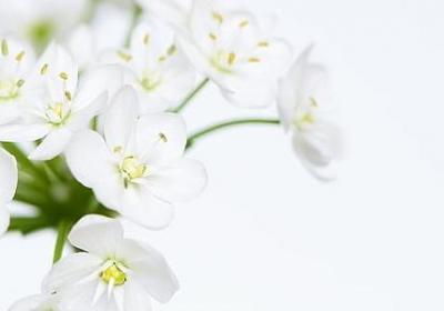 蒜组词 蒜字可以组的词语有哪些(合集73个)