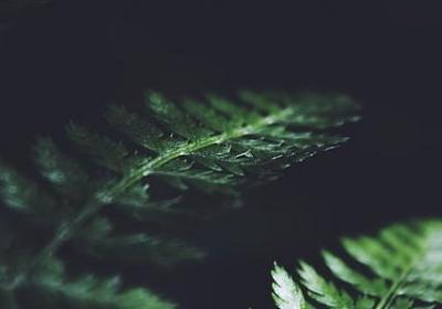 等你一句话(推荐320句)