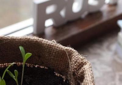 绝交的句子霸气(共180句)