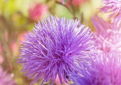 描写旧时光的句子(汇总9句)