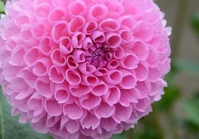 描写春天句子短句(通用10句)