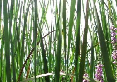 描写沮丧的句子(优选50句)