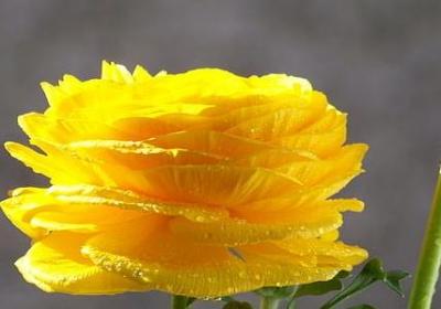 描写小闹钟外形的句子(合集30句)