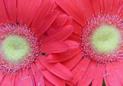 描写文物的句子(通用30句)