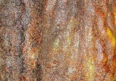 描写家温馨的句子(实用10句)