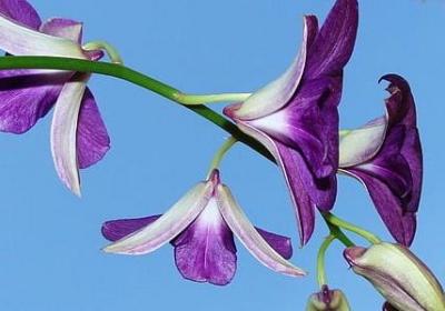 描写月亮的唯美的句子(共51句)