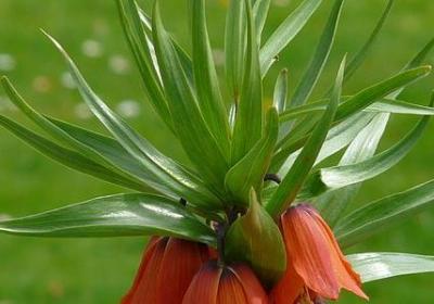 描写沙漏的句子(通用20句)