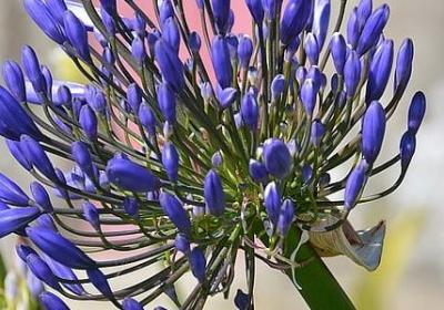 描写情人之间的句子(实用25句)