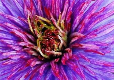 描写梳子的句子(必备50句)