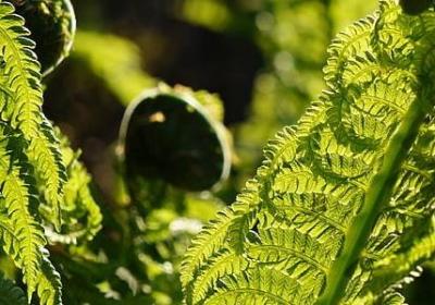 描写榜样的句子(合集20句)