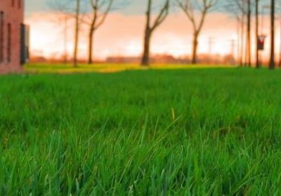 描写本子的句子(汇总46句)