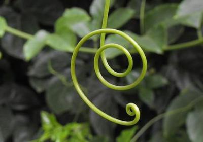 描写戈壁滩的句子(通用50句)