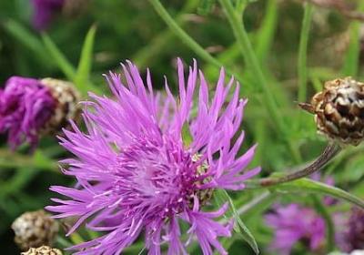 描写年少轻狂的句子(推荐20句)