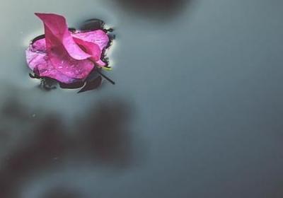 描写平淡生活的句子(合集20句)