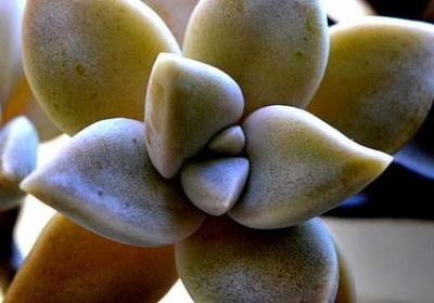 描写害怕的句子(推荐50句)