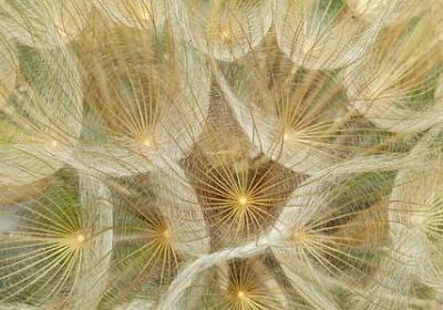 描写戏曲优美的句子(热门15句)