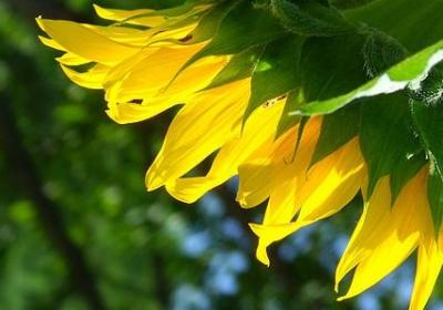 描写房间整洁的句子(精选50句)