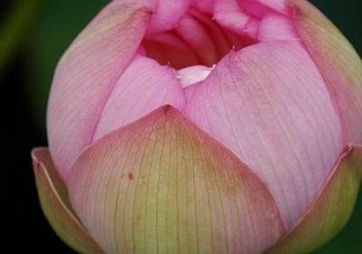 描写心情经典句子(20句)