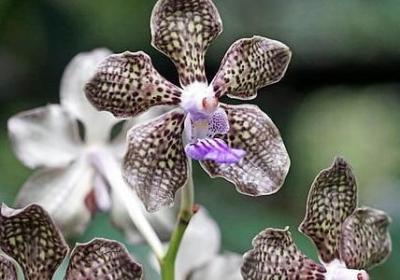 描写浪花的优美句子(通用20句)