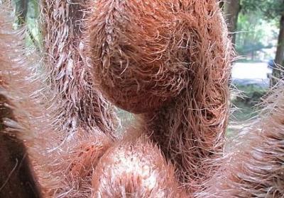 描写景物的短句子10句(汇总10句)