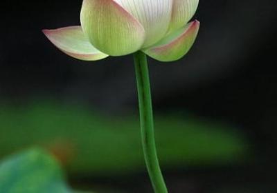 描写山里风景的句子(实用50句)