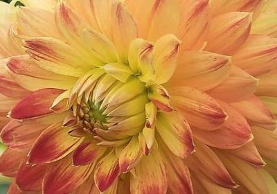 描写月色的优美句子(实用50句)