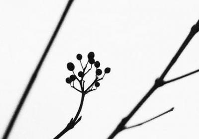 描写孩子性格的句子(推荐50句)