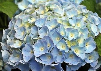 描写小城市的句子(汇总40句)