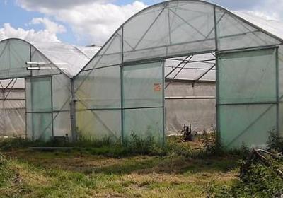 描写安静看书的句子(推荐50句)