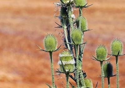 描写有钱人的句子(15句)