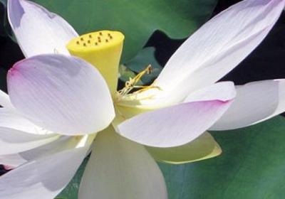 描写春雨的句子 短句(优选30句)