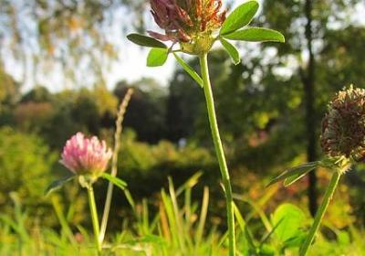 描写山洞的句子(汇总51句)