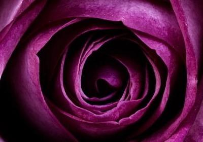 描写海岛的优美句子(通用50句)