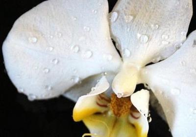 描写昆明的优美句子(必备5句)