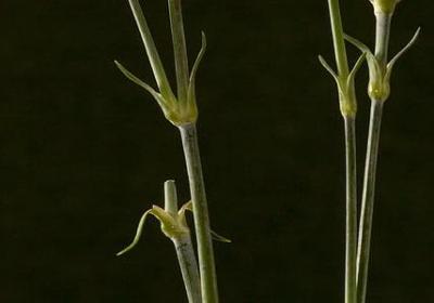 描写海的唯美句子(共50句)