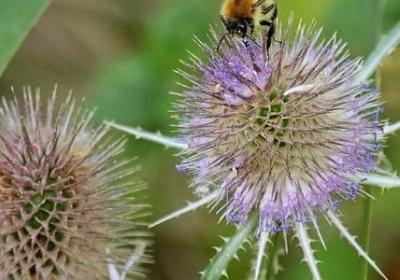 描写干活的句子(实用6句)