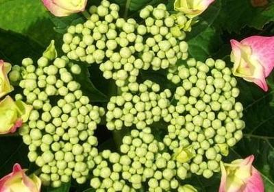 描写春天文艺句子短句(优选10句)