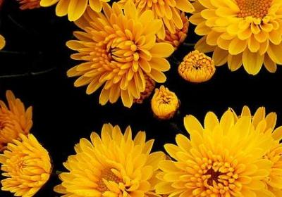 描写心情纠结的句子(通用50句)