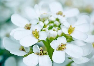 描写小区环境的句子(共7句)