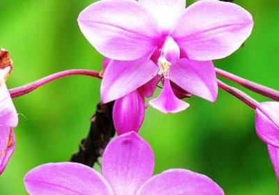 描写斧头的句子(通用15句)