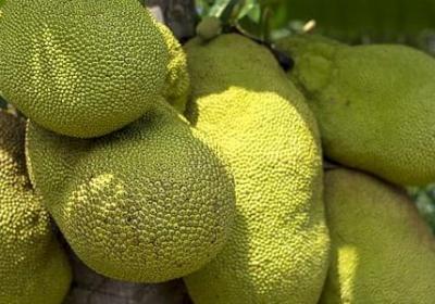 描写惊险的句子(汇总50句) 描写惊险的句子(汇总50句)