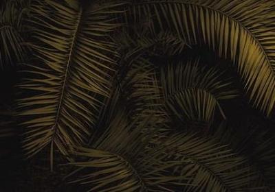 描写木偶的句子(精选50句) 描写木偶的句子(精选50句)