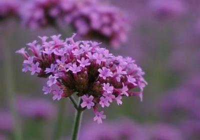 描写水立方的句子(精选10句) 描写水立方的句子(精选10句)